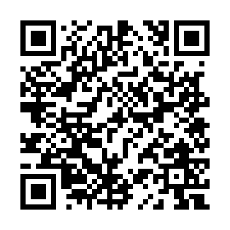QR code for Z1717