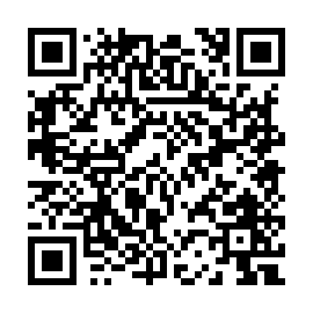QR code for Z2095