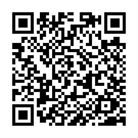 QR code for Z336
