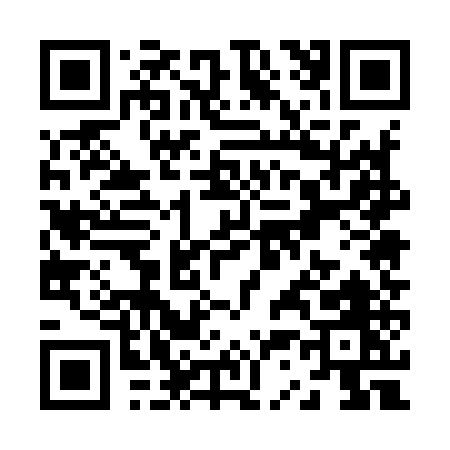 QR code for Z3595