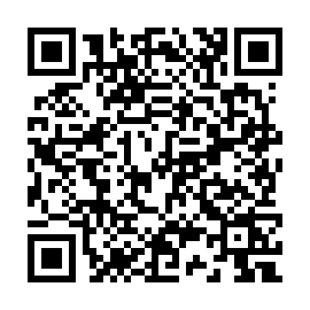 QR code for Z386