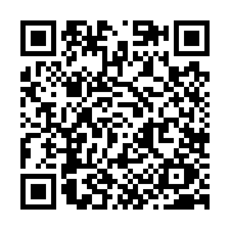 QR code for Z387