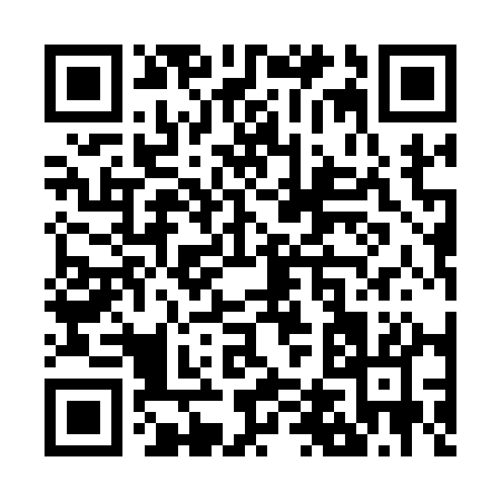 QR code for Z4111
