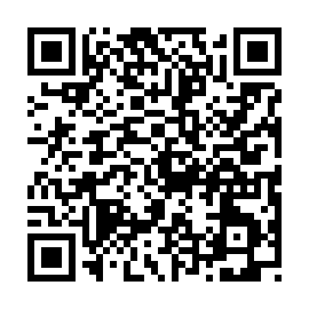 QR code for Z4161