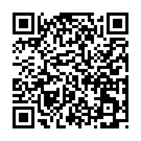 QR code for Z4207