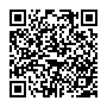 QR code for Z4339