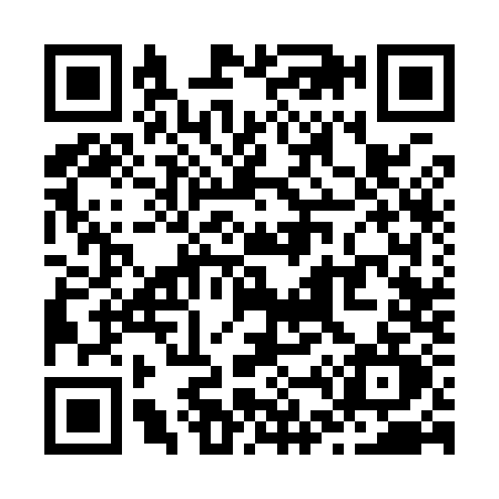 QR code for Z439