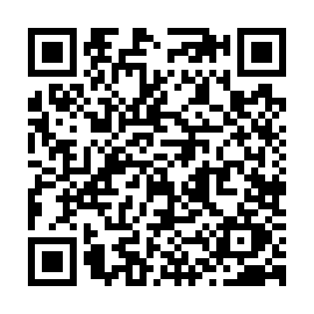 QR code for Z487