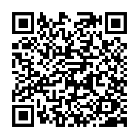 QR code for Z491