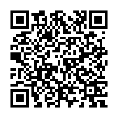 QR code for Z493