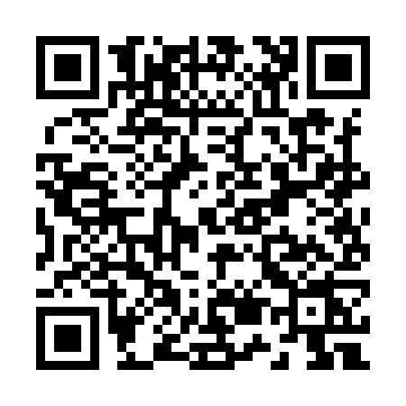 QR code for Z529