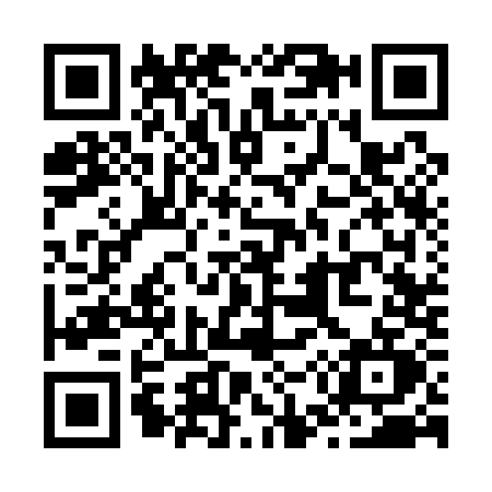 QR code for Z531