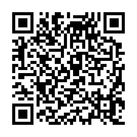 QR code for Z5334