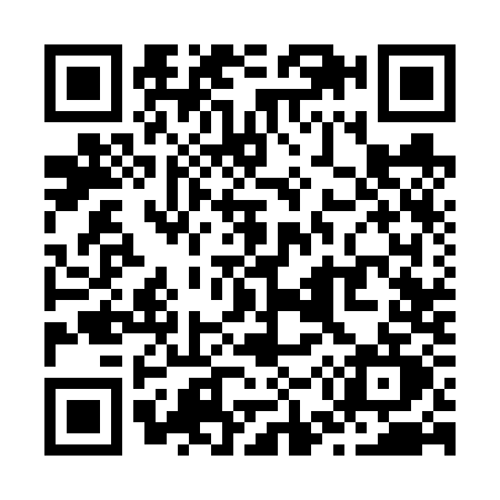 QR code for Z536