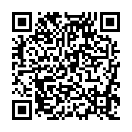 QR code for Z5417