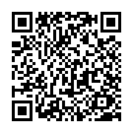 QR code for Z595