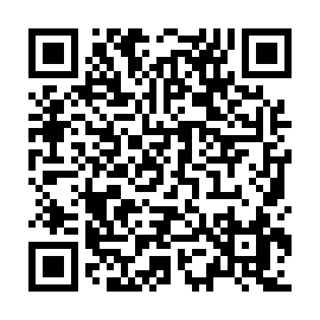QR code for Z5953