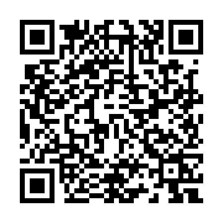 QR code for Z601