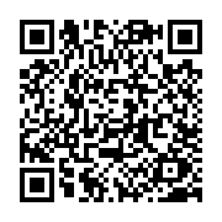 QR code for Z667