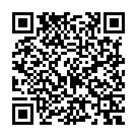 QR code for Z828