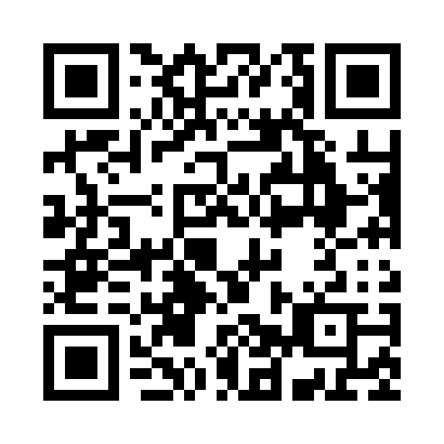 QR code for Z91