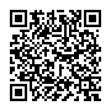 QR code for Z916