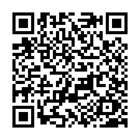 QR code for Z951