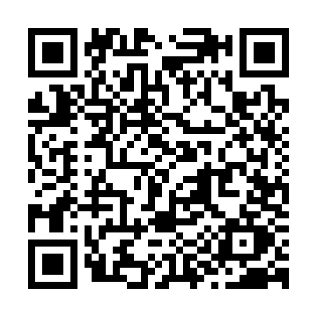 QR code for Z953