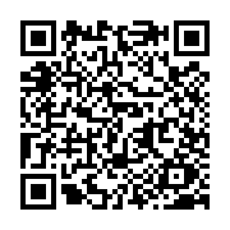 QR code for Z955
