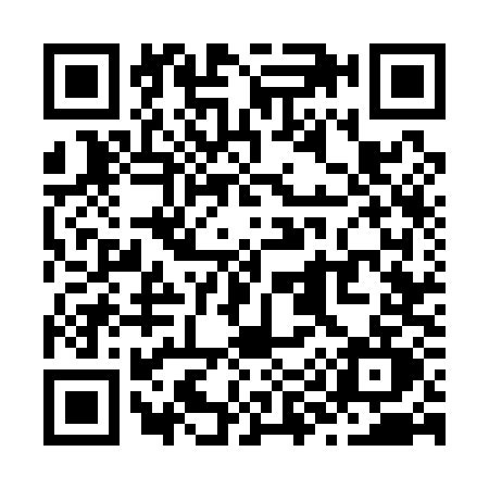 QR code for Z971