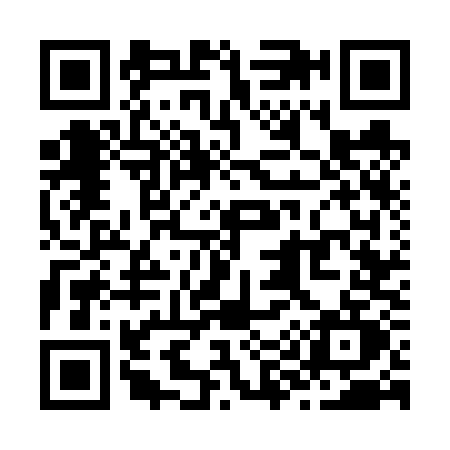 QR code for Z976