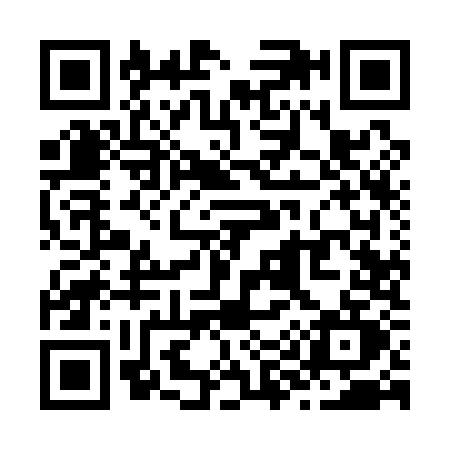 QR code for Z991