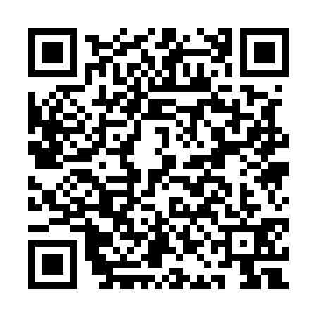 QR code for AAA5311