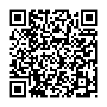 QR code for AAE4390