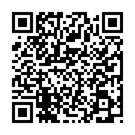 QR code for AAE5265
