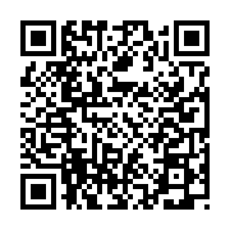 QR code for AAE6487