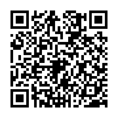 QR code for AAF2013