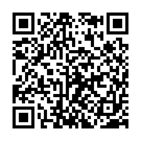 QR code for AAI313