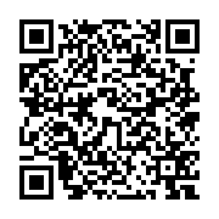 QR code for ABQ0771