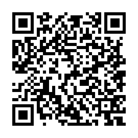QR code for ADN9739