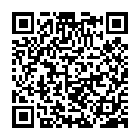 QR code for AEG411