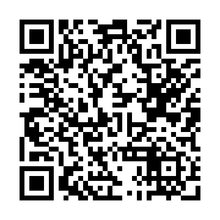 QR code for AHO919