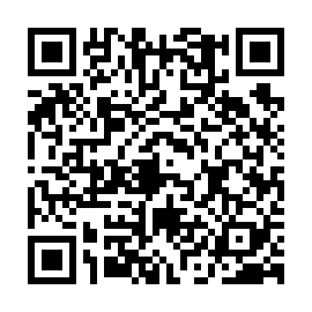QR code for AIE6296