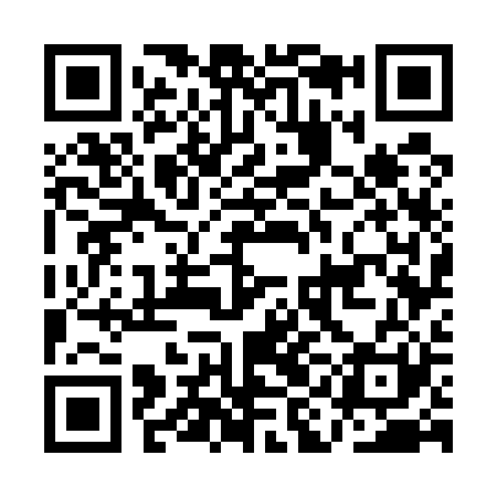 QR code for AIG521