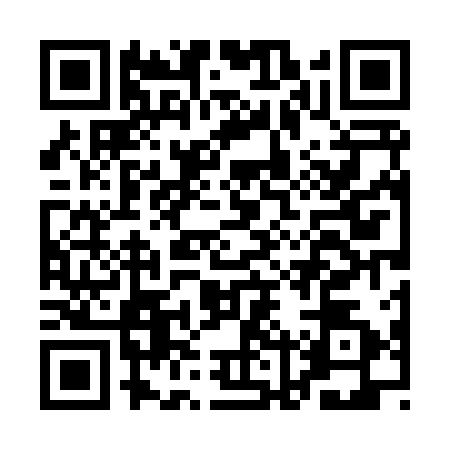 QR code for ALT8124