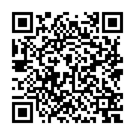QR code for ANI9233