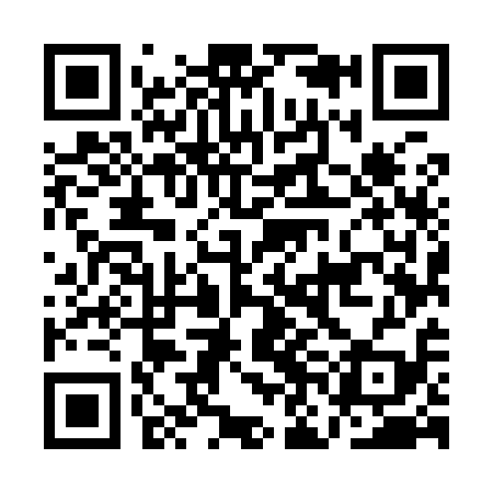 QR code for ANM919