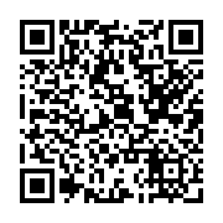 QR code for ANP339