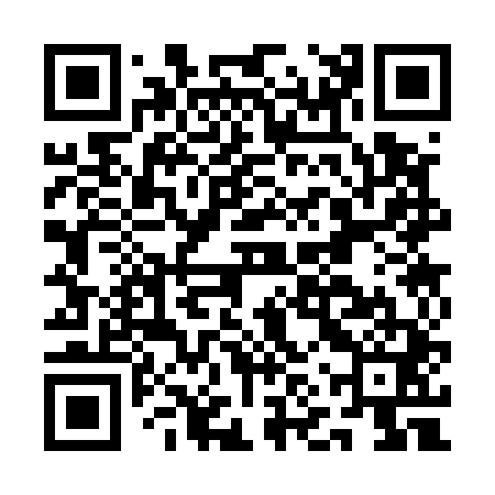 QR code for ANS541