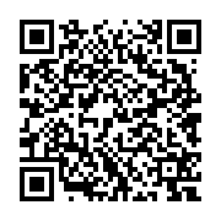QR code for ANT6243